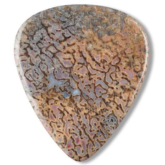 Agatized Dinosaur Bone