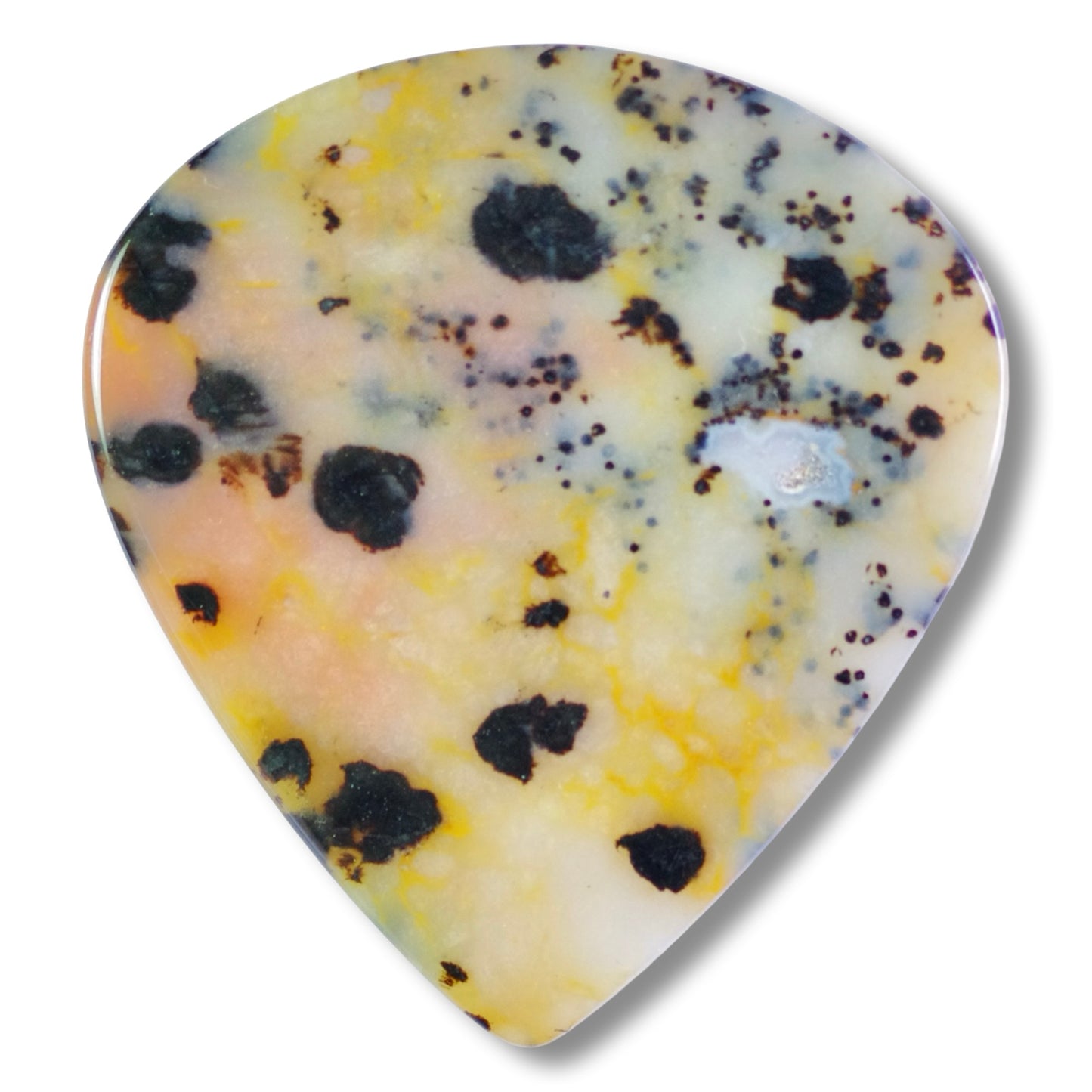 Cheetah Jasper