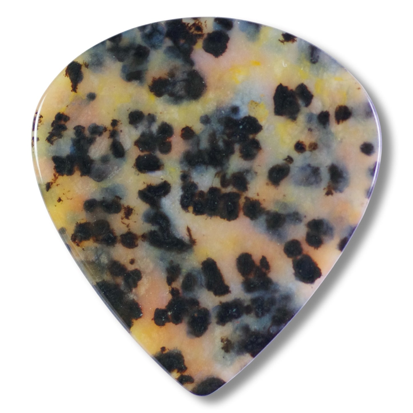 Cheetah Jasper