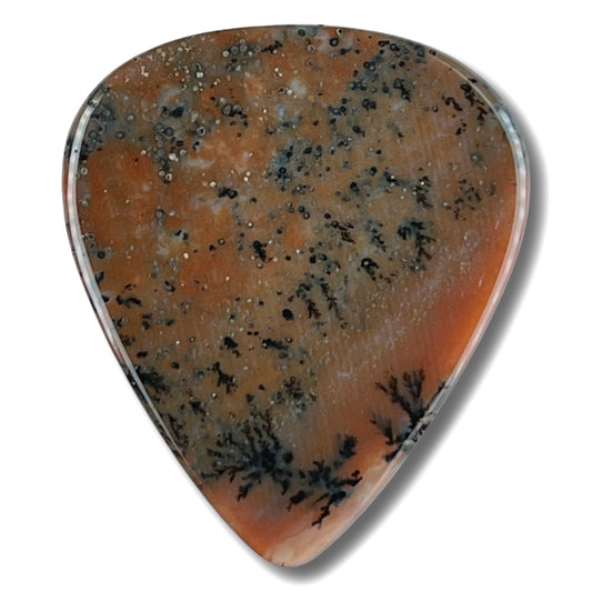 Brown Dendritic Agate