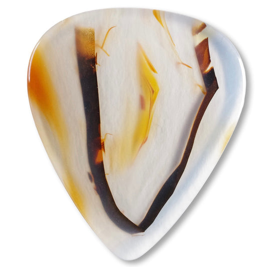 Brazilian Agate