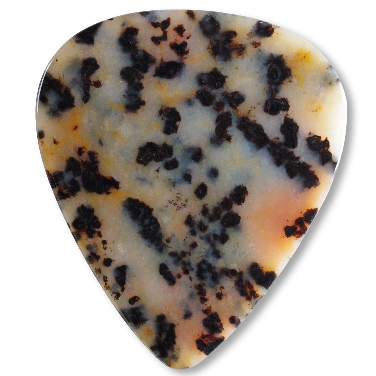 Cheetah Jasper