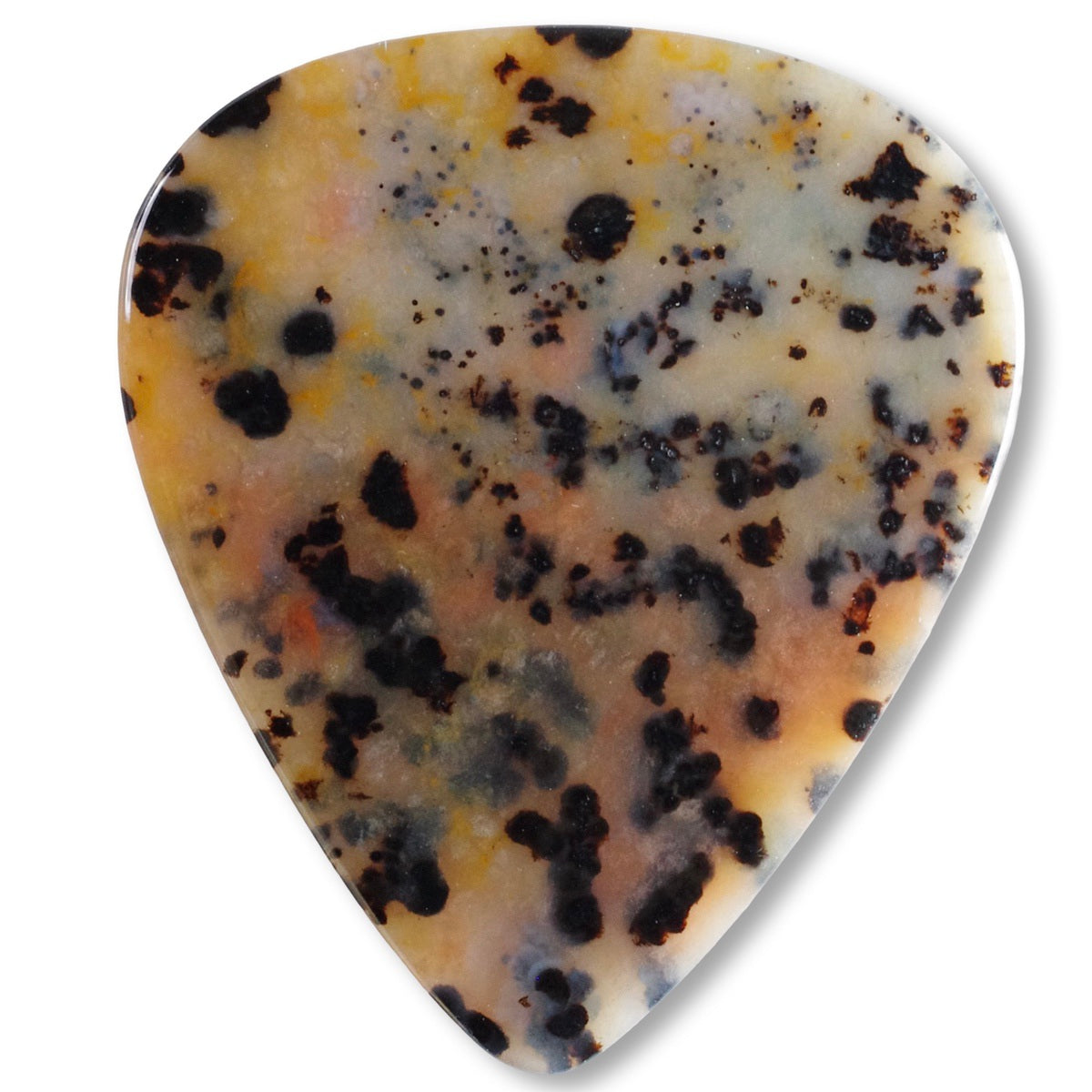 Cheetah Jasper