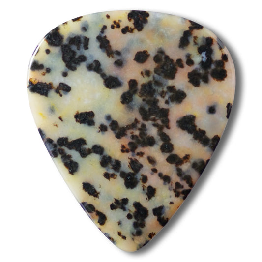 Cheetah Jasper