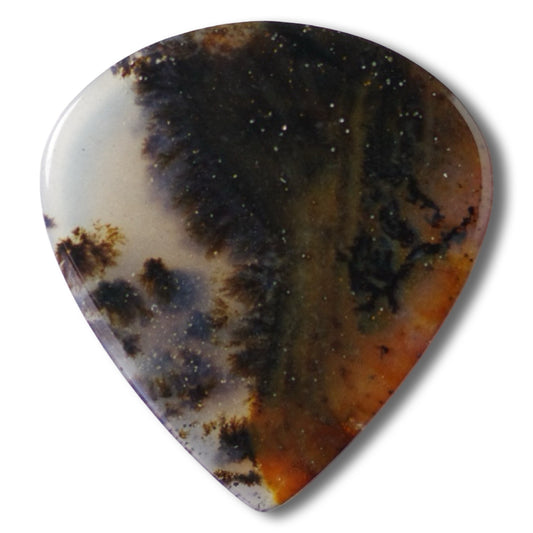 Snake River Agate