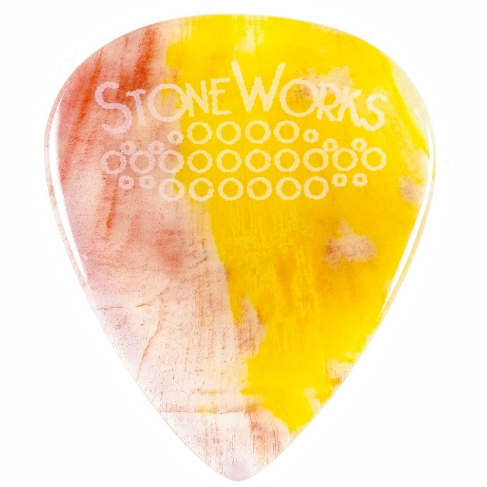Arizona Petrified Wood - Stone Guitar Pick