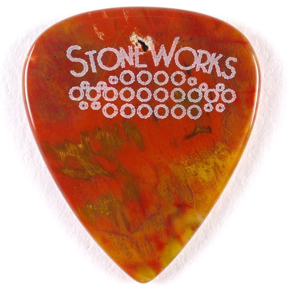 Arizona Petrified Wood - Stone Guitar Pick